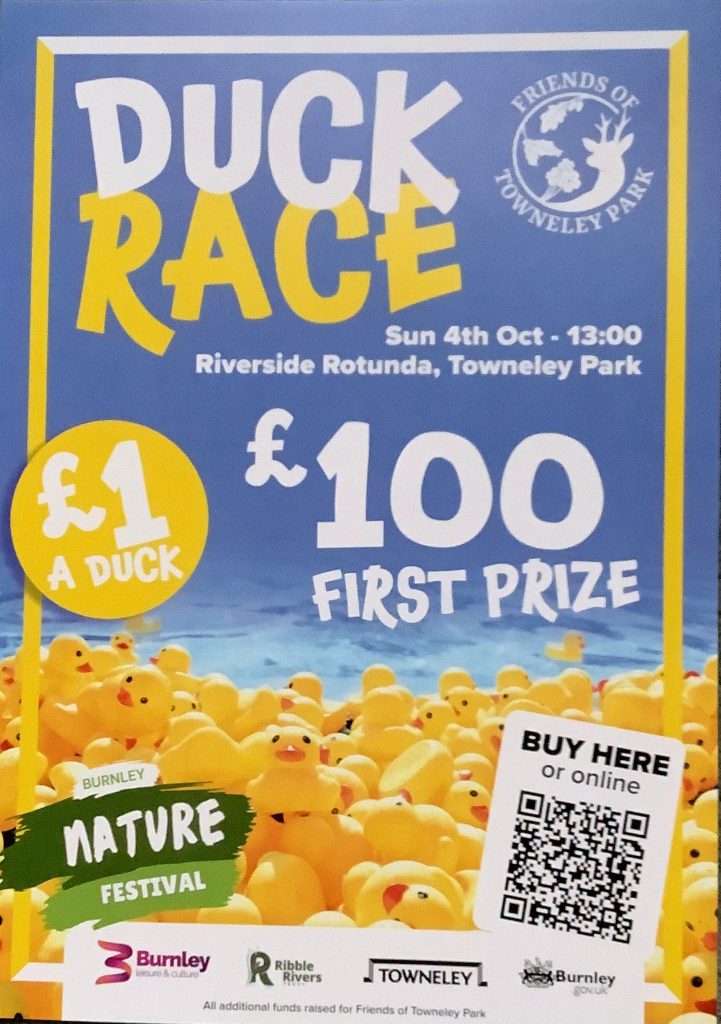 Duck Race at Towneley